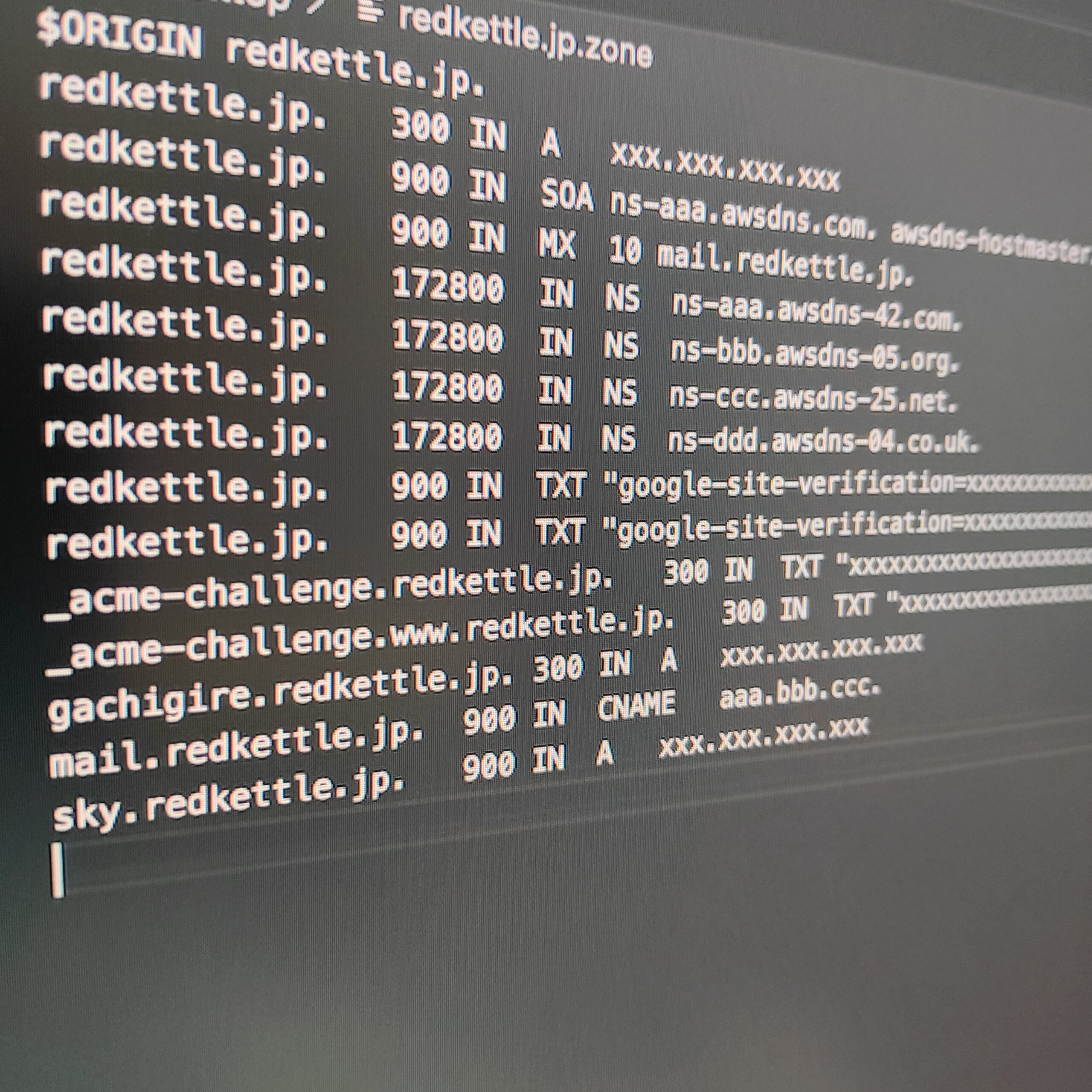 DNSレコード情報をRoute53からエクスポート | BLOGs win